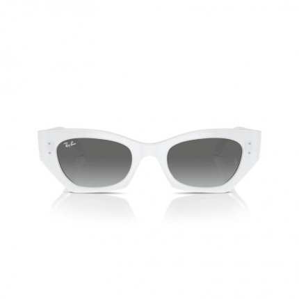 Ray-Ban  RB4430